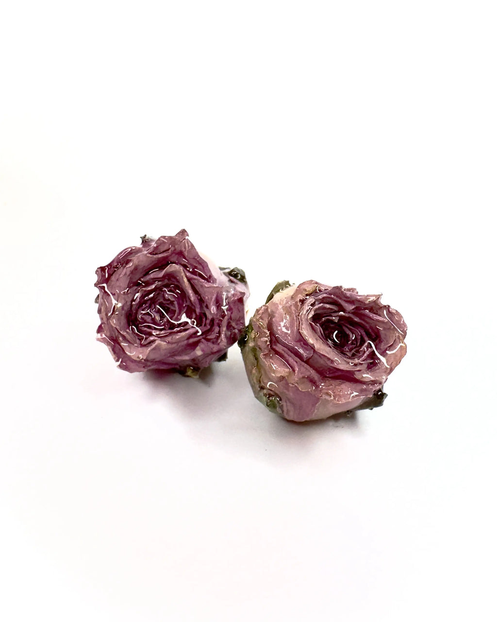 Orecchini rosa Botanic