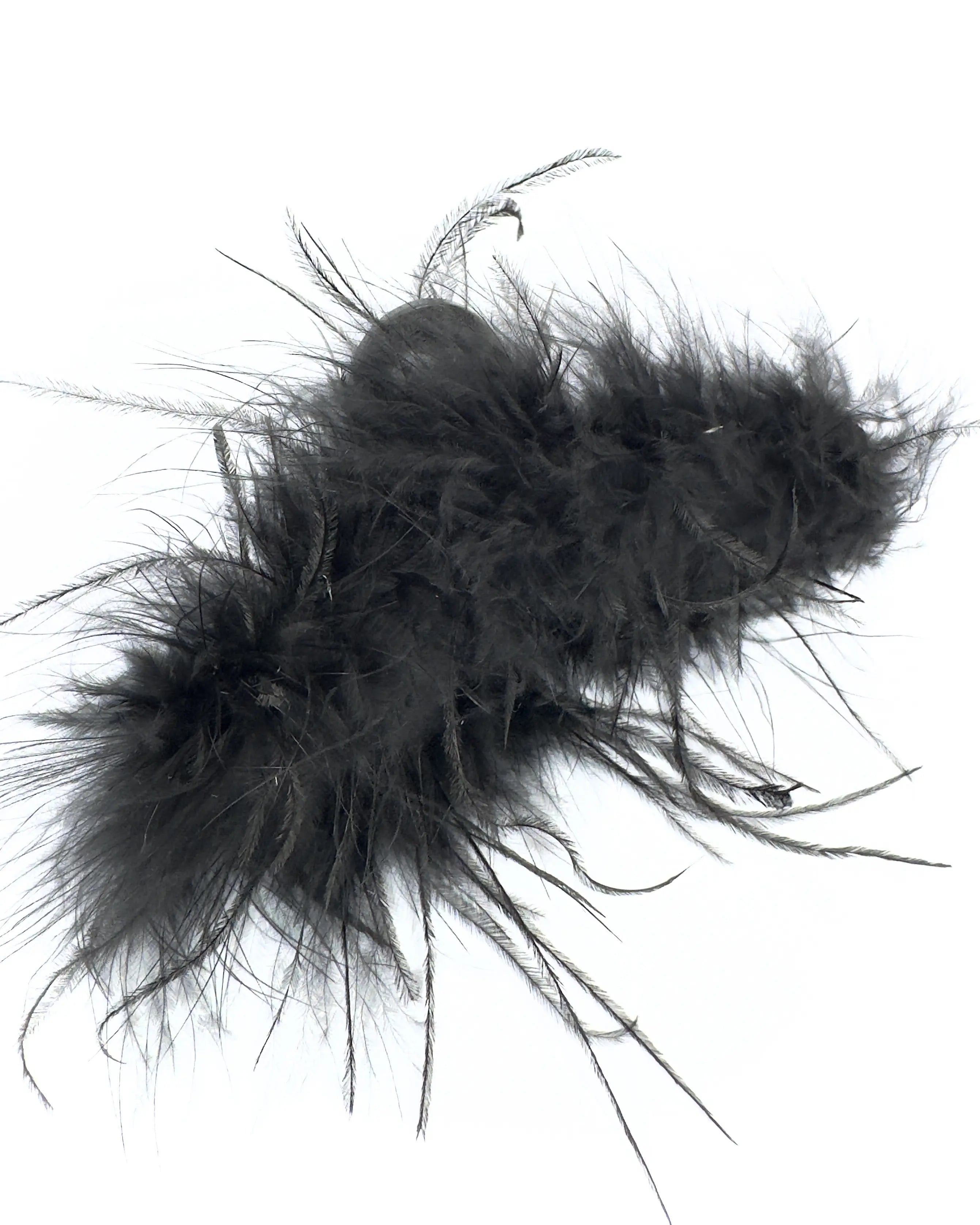 Pinza piume