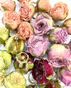 Orecchini rosa Botanic