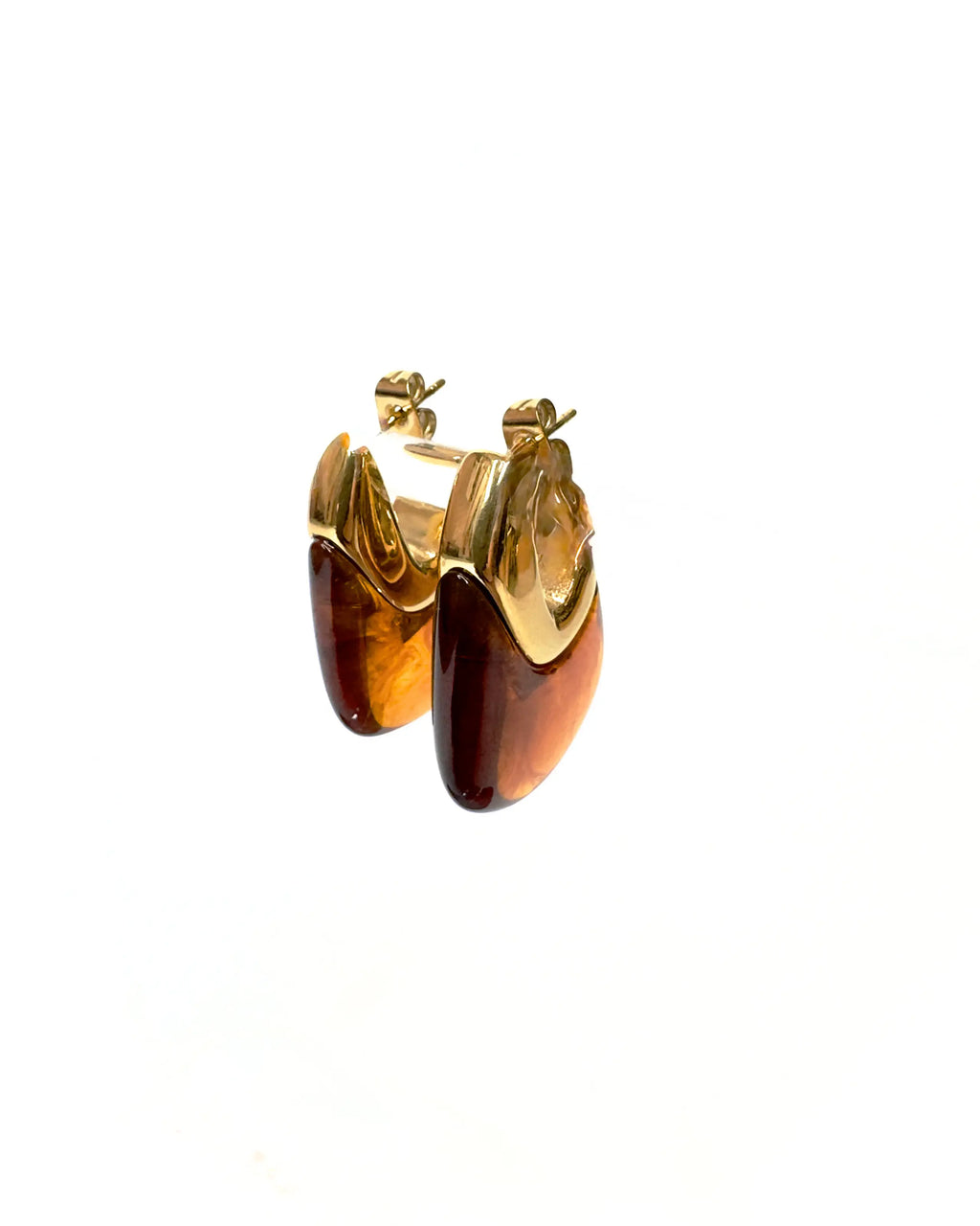 Orecchini Pinna