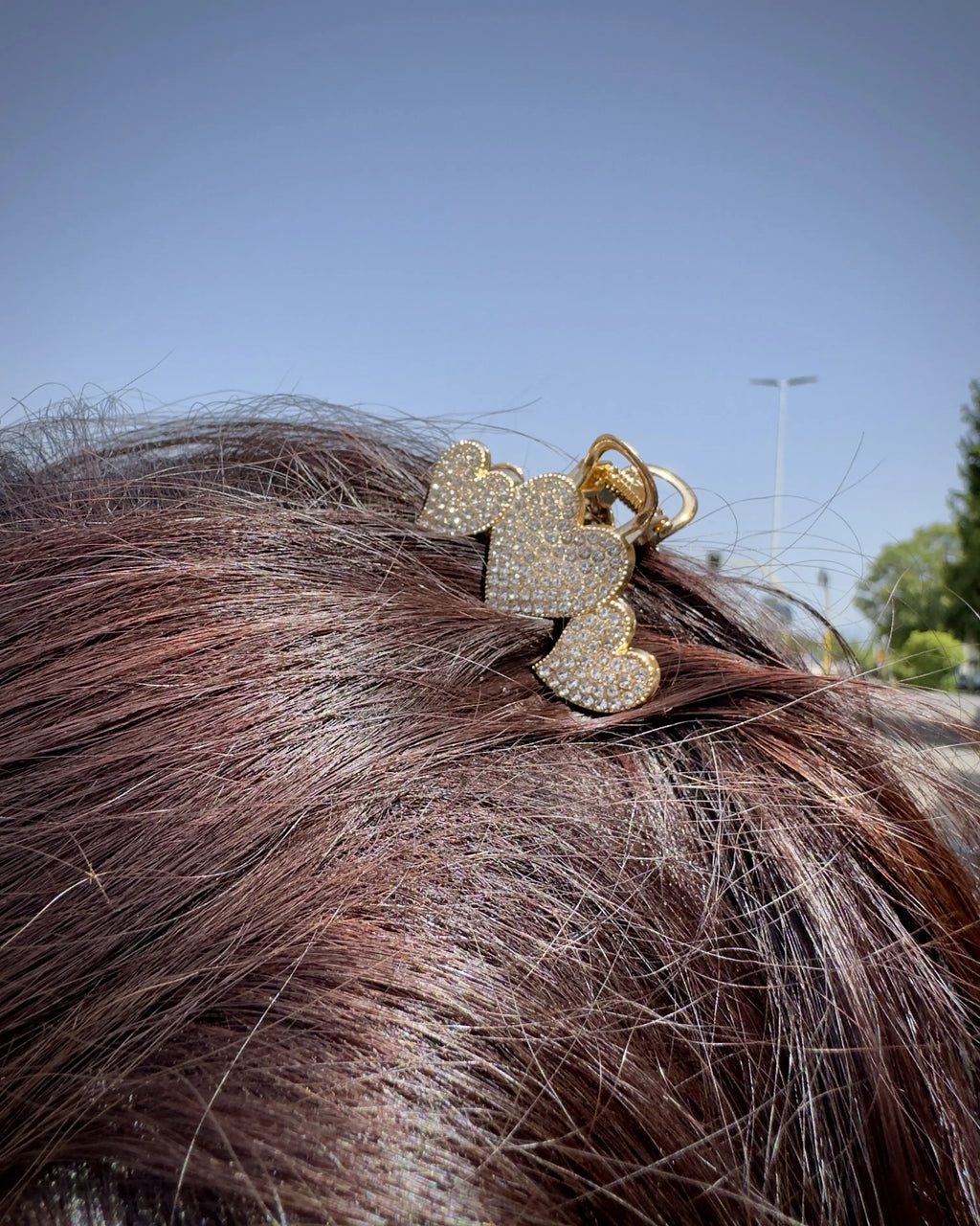 Pinza media cuori strass