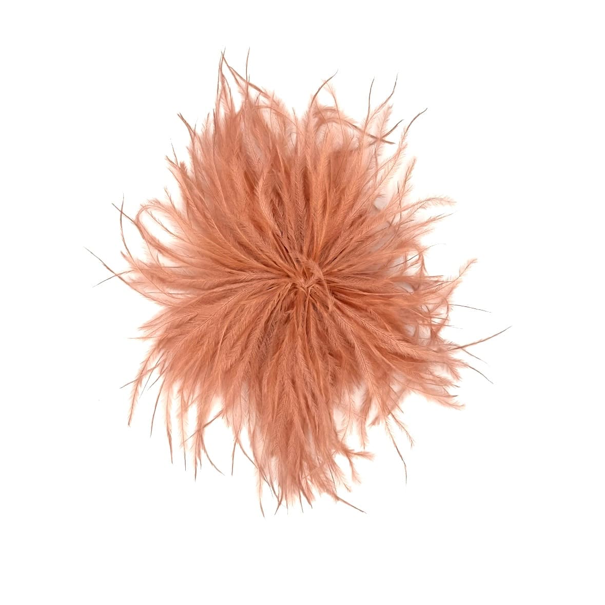Spilla piume Anemone