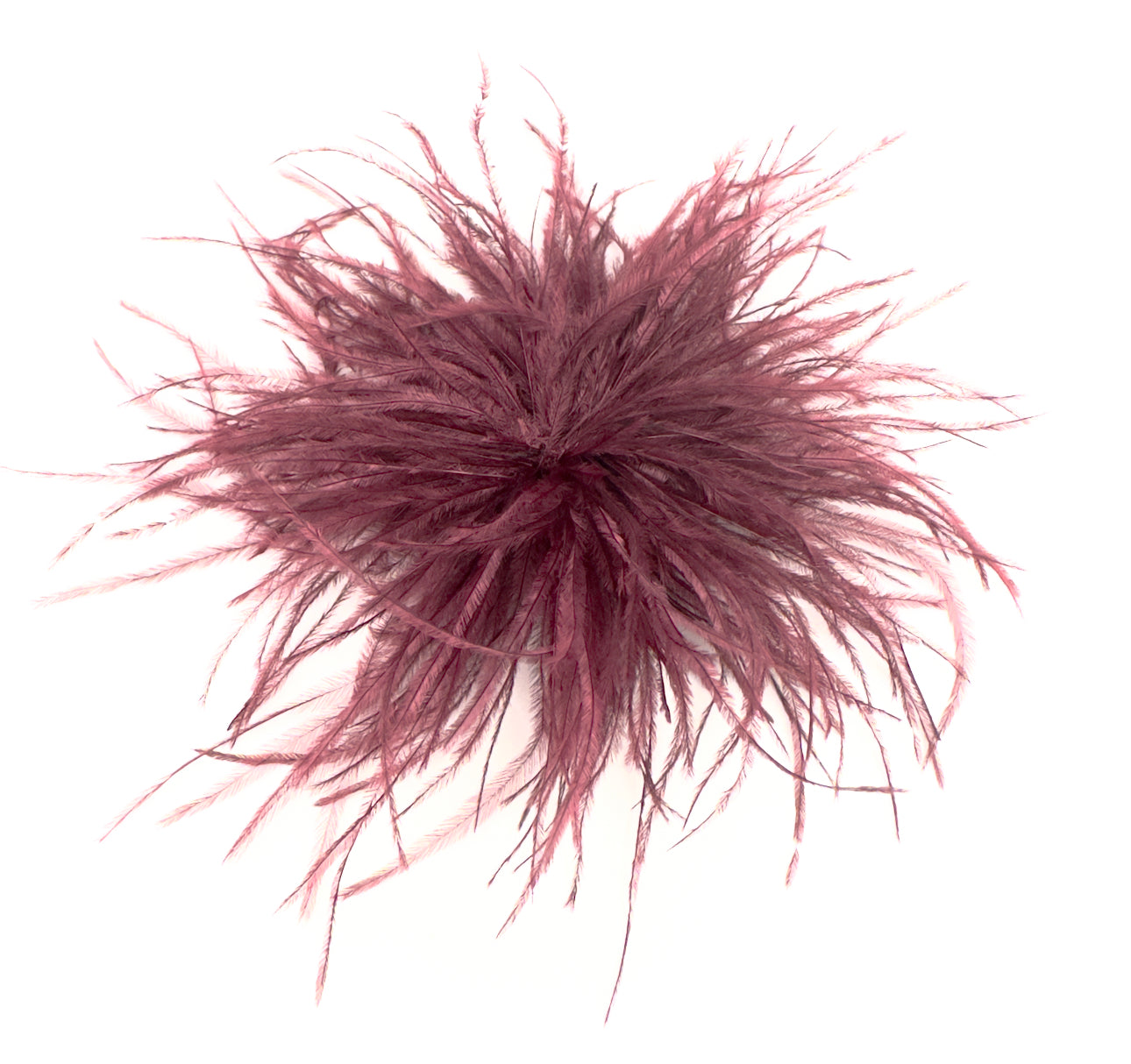 Spilla piume Anemone