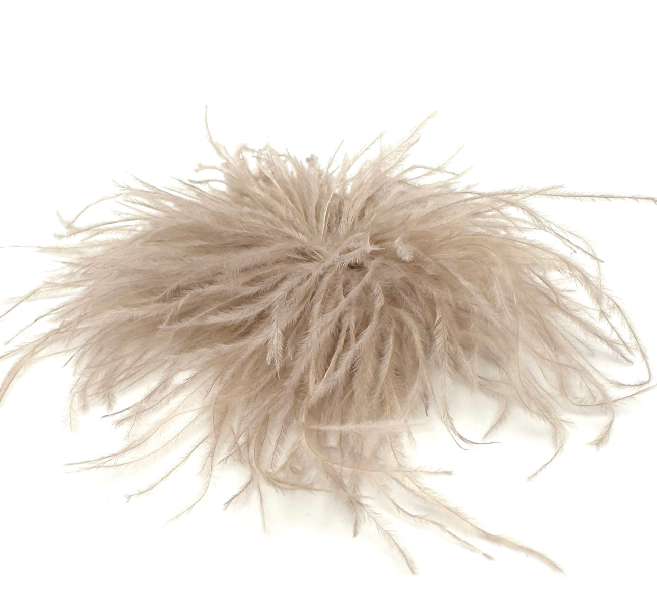 Spilla piume Anemone