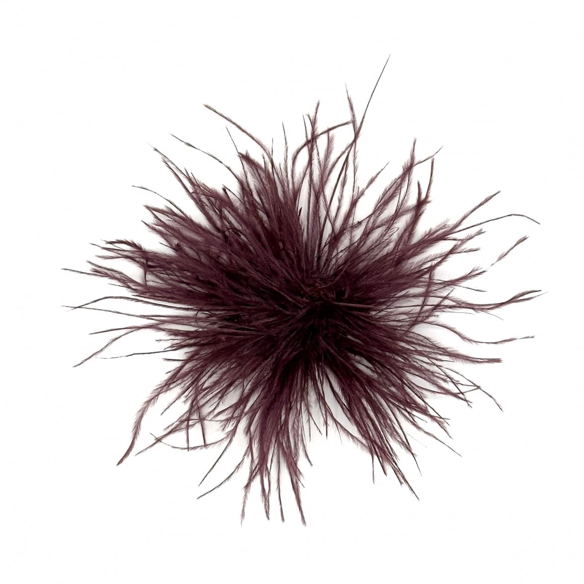 Spilla piume Anemone