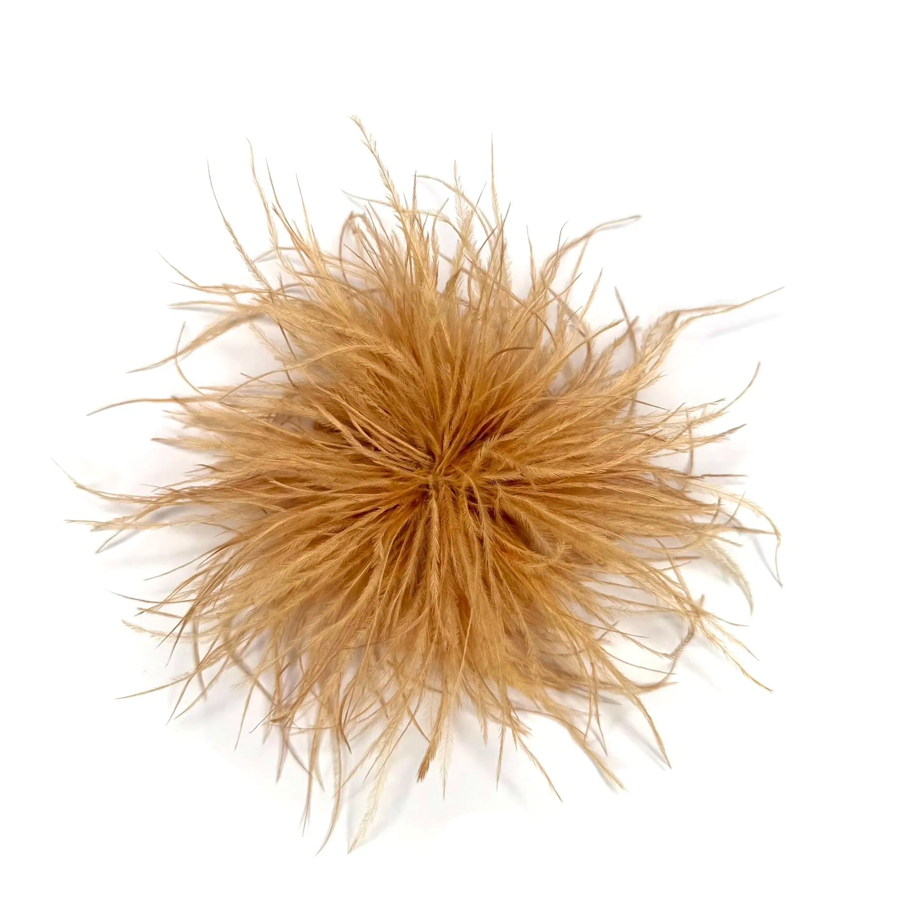 spilla piume