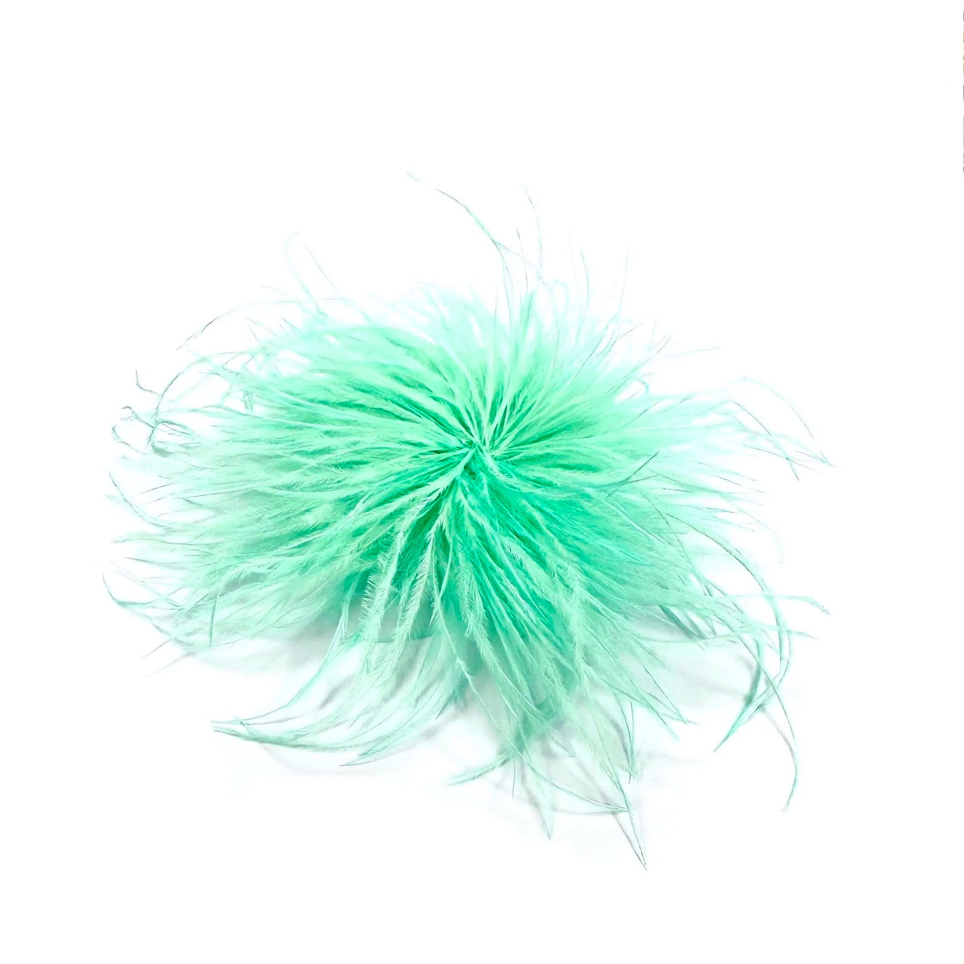 spilla piume