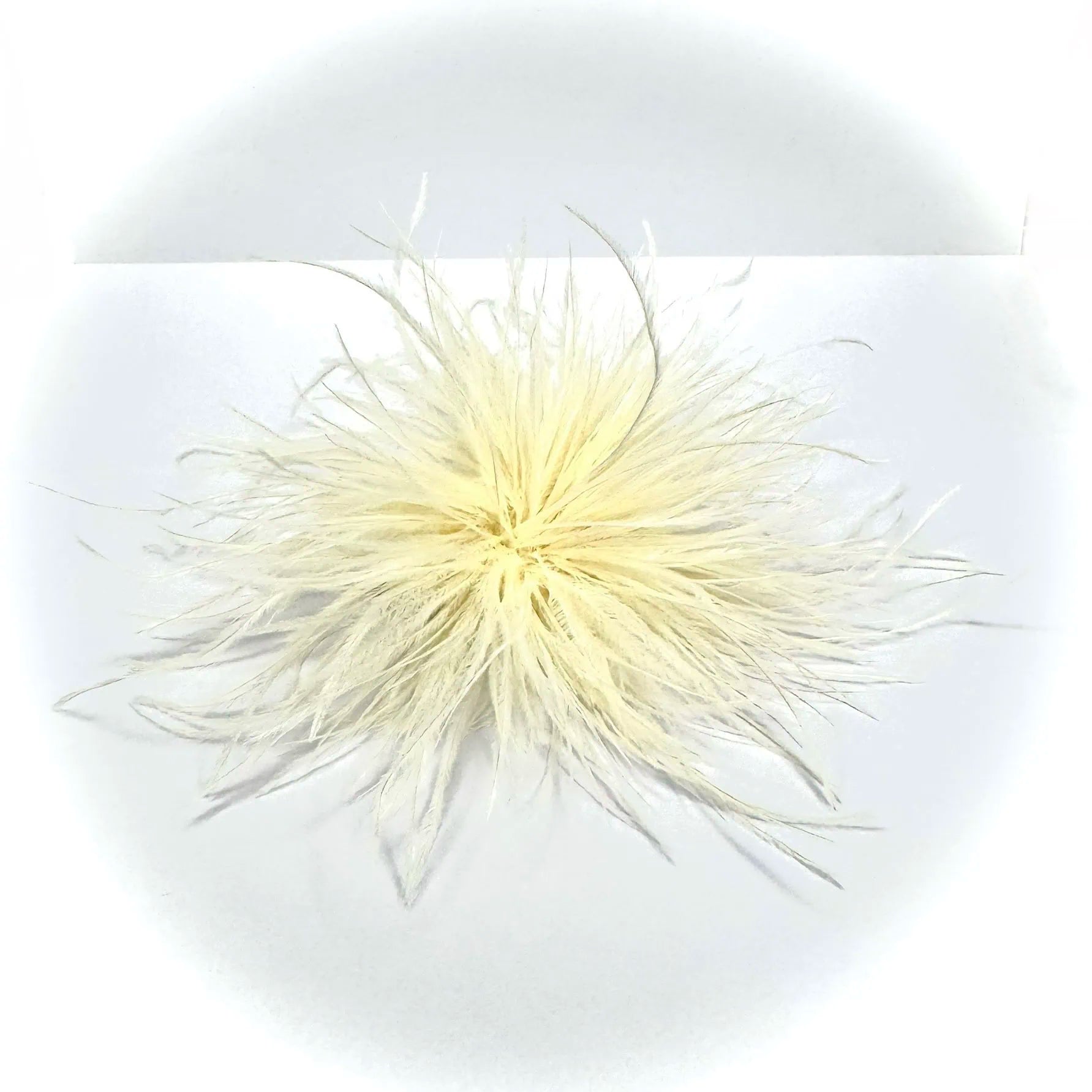 spilla piume