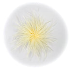 spilla piume