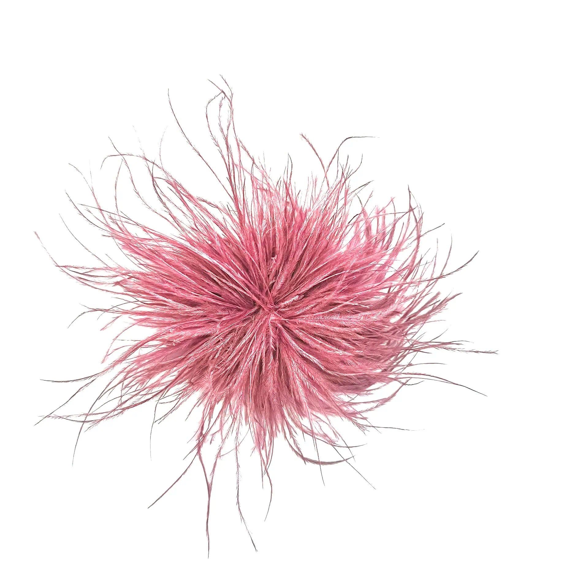Spilla piume Anemone
