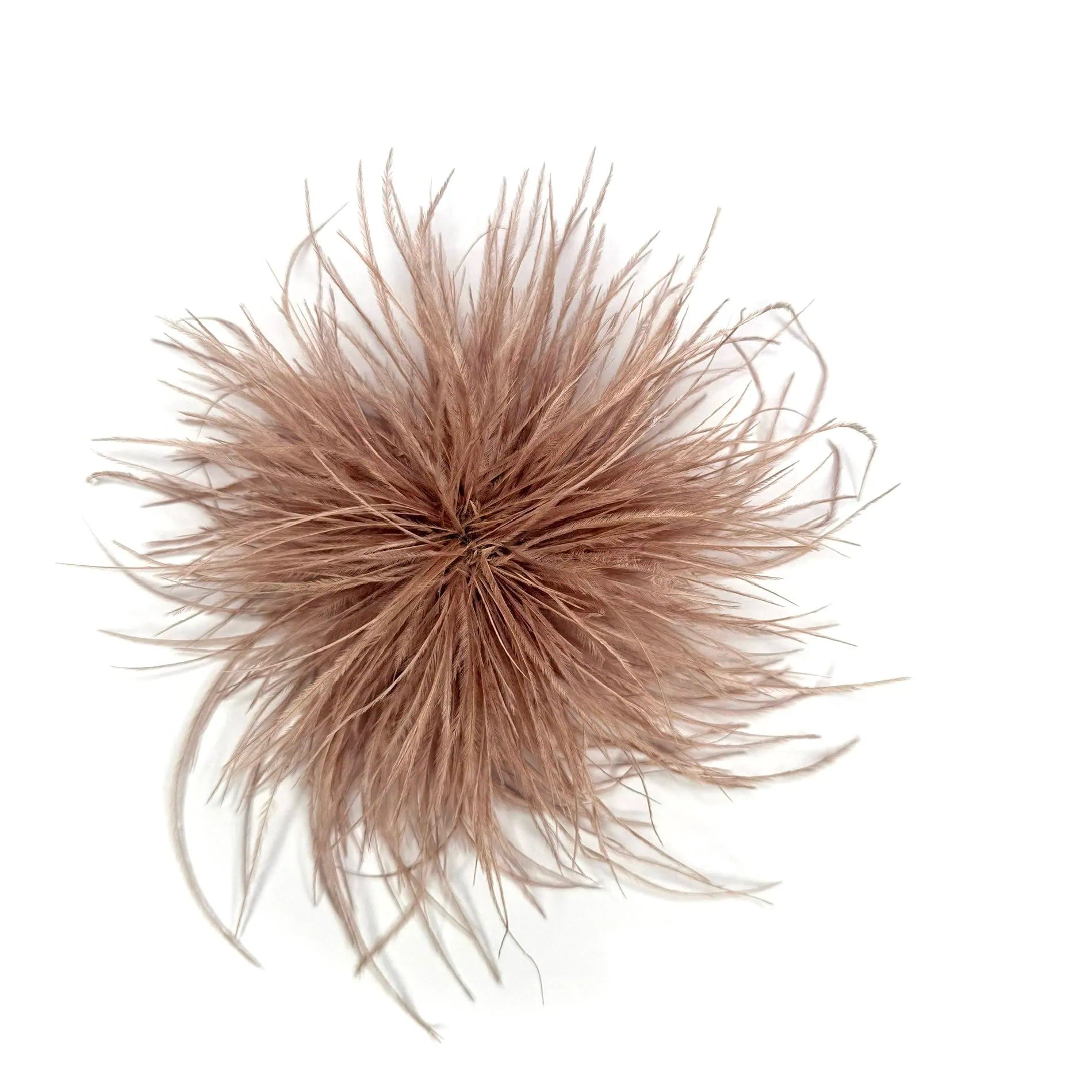 spilla piume